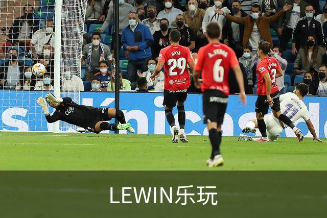 LEWIN乐玩公司简介